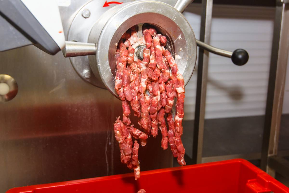 séparatrice viande transformation industrielle